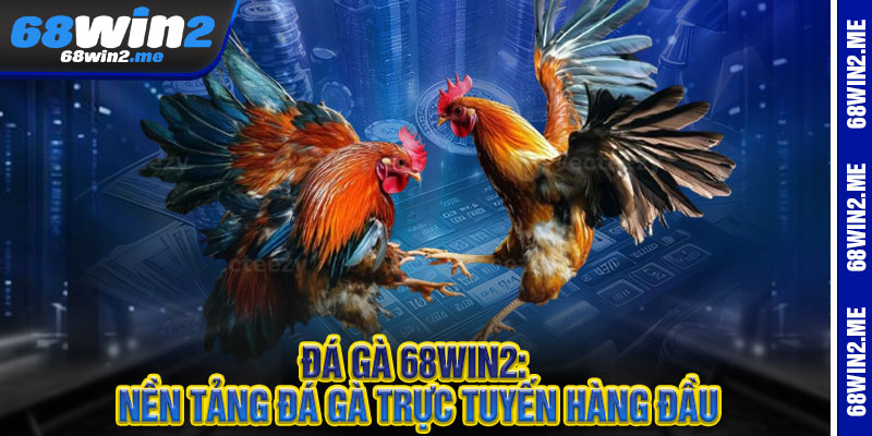 Đá Gà 68Win2: Nền Tảng Đá Gà Trực Tuyến Hàng Đầu